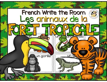 French Rainforest Animals Write The Room Les Animaux De La Foret Tropicale