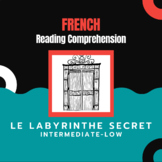 French Reading Comprehension Activities for LE LABYRINTHE 