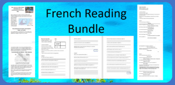 Preview of French Reading Comprehension Activity Vacances Holidays Original New Full Lesson