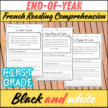 Preview of French Reading Comprehension Adventures for First Graders: End-of-Year Edition