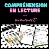 French Reading Comprehension / COMPRÉHENSIONS EN LECTURE e