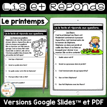Preview of French Reading Comprehension - Compréhension de Lecture simple - Printemps