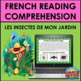 French Reading Comprehension: FRENCH INSECTS/BUGS (LES INS