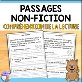 French Reading Comprehension Passages & Questions (Compréh