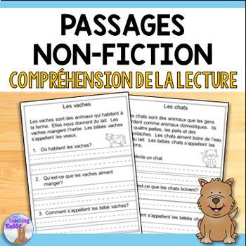 Preview of French Reading Comprehension Passages & Questions (Compréhension de la lecture)