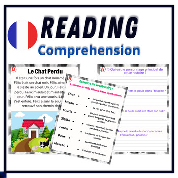 Preview of French Reading with Questions and Worksheets -decodable reader passages