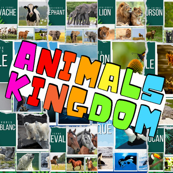 Preview of French Real Life Photos For 8 Types of Animal Kingdom - 8 IN 1 BUNDLE