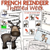 French Reindeer Life Cycle and Activities | Les Rennes | F
