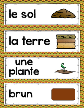 French Soil And Environment Unit Grade 3 Science Le Sol Et L Environnement