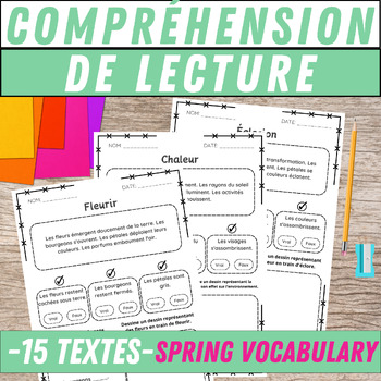 Preview of French Spring Compréhension de lecture- passages et questions -le printemps