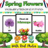 French Spring Flowers Real Photo Flashcards for PreK & Kin