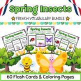 French Spring Insects & Bugs Coloring Pages & Flashcards B