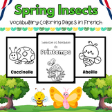French Spring Insects & Bugs Coloring Pages for PreK & K K