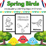 French Spring Sky Birds Coloring Pages for PreK & Kinder K
