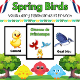 French Spring Sky Birds Flash Cards for PreK & Kindergarte