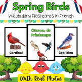 French Spring Sky Birds Real Picture Flash Cards for PreK 