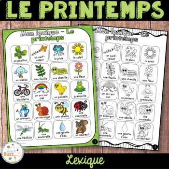 Preview of French Spring Vocabulary - Printemps - lexique