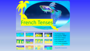 Preview of French Tenses Present Imperfect Future Conditional Passé Composé + Subjunctive