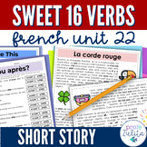 French Unit 22 - Reading Comprehension Activities - French