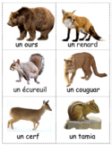French Unit Vocabulary Cards (Transportation, Animals, Col