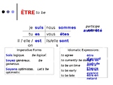 French Verbs, Level II (correlates with DF Blanc)