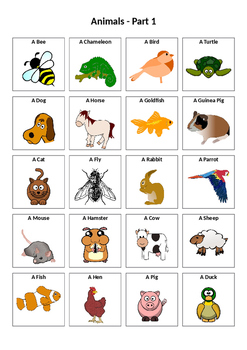 French Vocabulary: Animals by I Need To Teach That | TPT