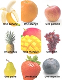 French Food Vocabulary Cards AND Flashcards -- 99 differen