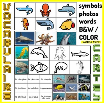 Preview of French Vocabulary Photo Picture Flash Cards Preschool Autism SpEd Sea Animals