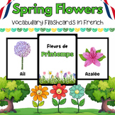 French Watercolor Spring Flowers Flashcards for PreK & Kin