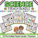 French Zoo Ocean Farm Animals, Insects & Birds Flashcards 