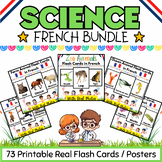 French Zoo Ocean Farm Animals, Insects & Birds Flashcards 