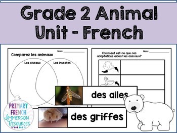 Preview of French animal unit - Les Animaux