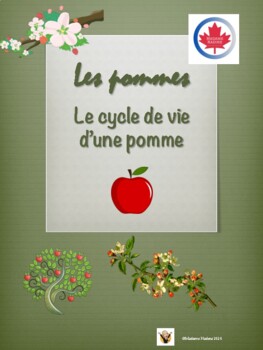 Preview of French apple life cycle digital and printable