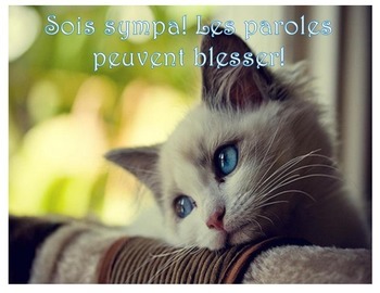 French bulletin board motivational posters for the classroom by Le Chat ...