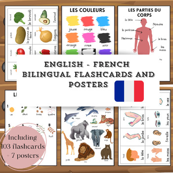 Preview of French flashcards and posters MEGA BUNDLE