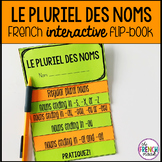 French plural nouns le pluriel des noms interactive flip book