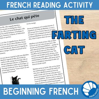 Preview of French reading Compréhension de Lecture Le Chat Qui Pète