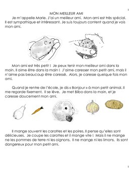 French reading comprehension hamster and activities by Miss Sandy Lewis