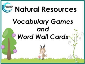 Preview of Les Ressources Naturelles—Jeux de Vocabulaire