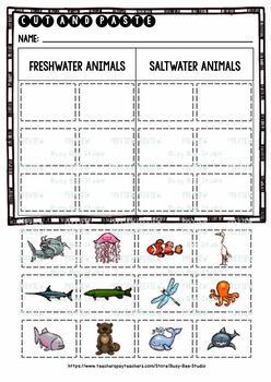 Freshwater Animals vs Saltwater Animals | Cut and Paste Worksheets