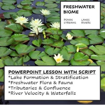 freshwater biome plants