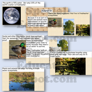 VAAP Freshwater Ecosystems Power Point and Primary Text (8S-ECO 5 b)