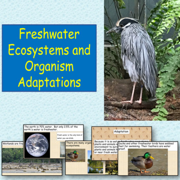 Preview of Freshwater Ecosystems Power Point and Primary Text (VAAP)