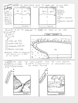 Preview of Freshwater Ecosystems coloring sheet