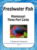 Fresh water Fish, Montessori Classified Cards, Flash Cards