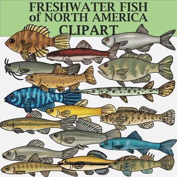 Freshwater Fish of North America Clipart by The Naturalist