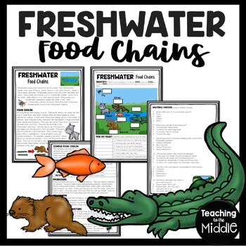 Preview of Freshwater Food Chains Informational Text Reading Comprehension Worksheet