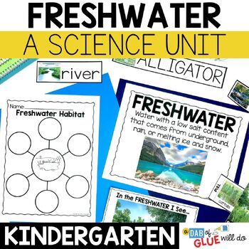 Preview of Freshwater Habitat Science Lessons and Activities for Kindergarten