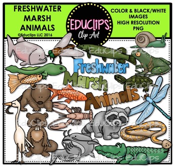 Freshwater Marsh Animals Clip Art Bundle {Educlips Clipart} by Educlips