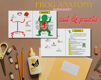 Preview of Frog Anatomy Worksheet(cut and paste)
